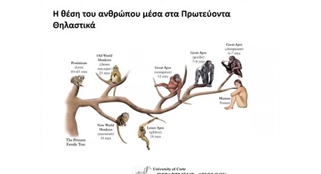 Cro-Magnon και Pablo Picasso: Δύο άνθρωποι, δύο εποχές, μία ιστορία…  ιστορία της εξέλιξης του ανθρώπου