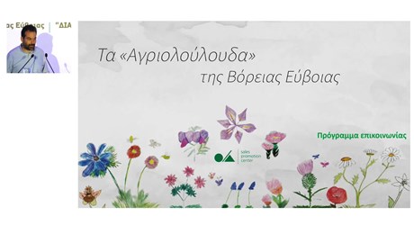 Πρόγραμμα προβολής: Τα αγριολούλουδα της Βόρειας Εύβοιας