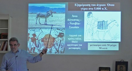 Ο Ίππος στον Ελληνικό Κόσμο - 2η διάλεξη Ο Ίππος στον Ελληνικό Κόσμο - 2η διάλεξη