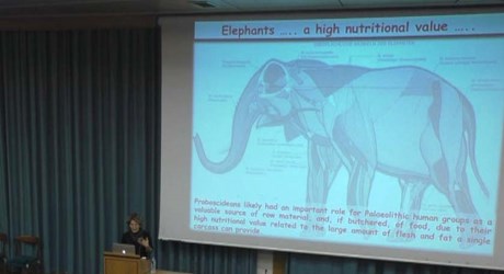 Hominins and Elephants in the Pleistocene: a Lesson from the Mediterranean